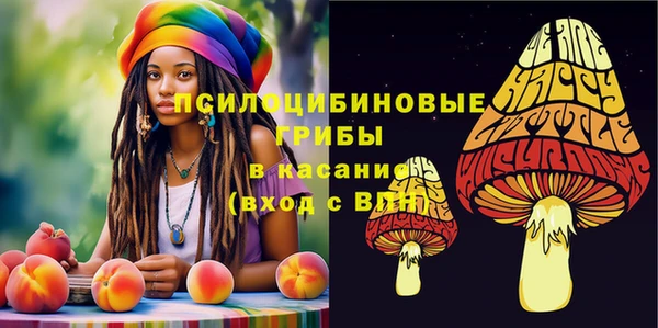 альфа пвп Заводоуковск