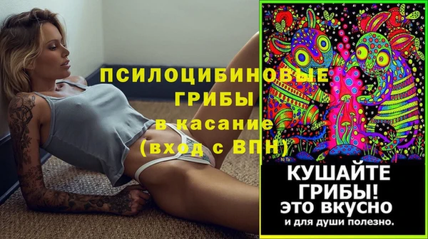 альфа пвп Заводоуковск