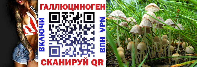 Галлюциногенные грибы Psilocybe  Купить закладки  Дигора 